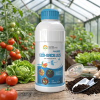 Eco-Bacillus – Bacillus subtilis Bio-Fungicide Bio-Inoculant | 1 Litre